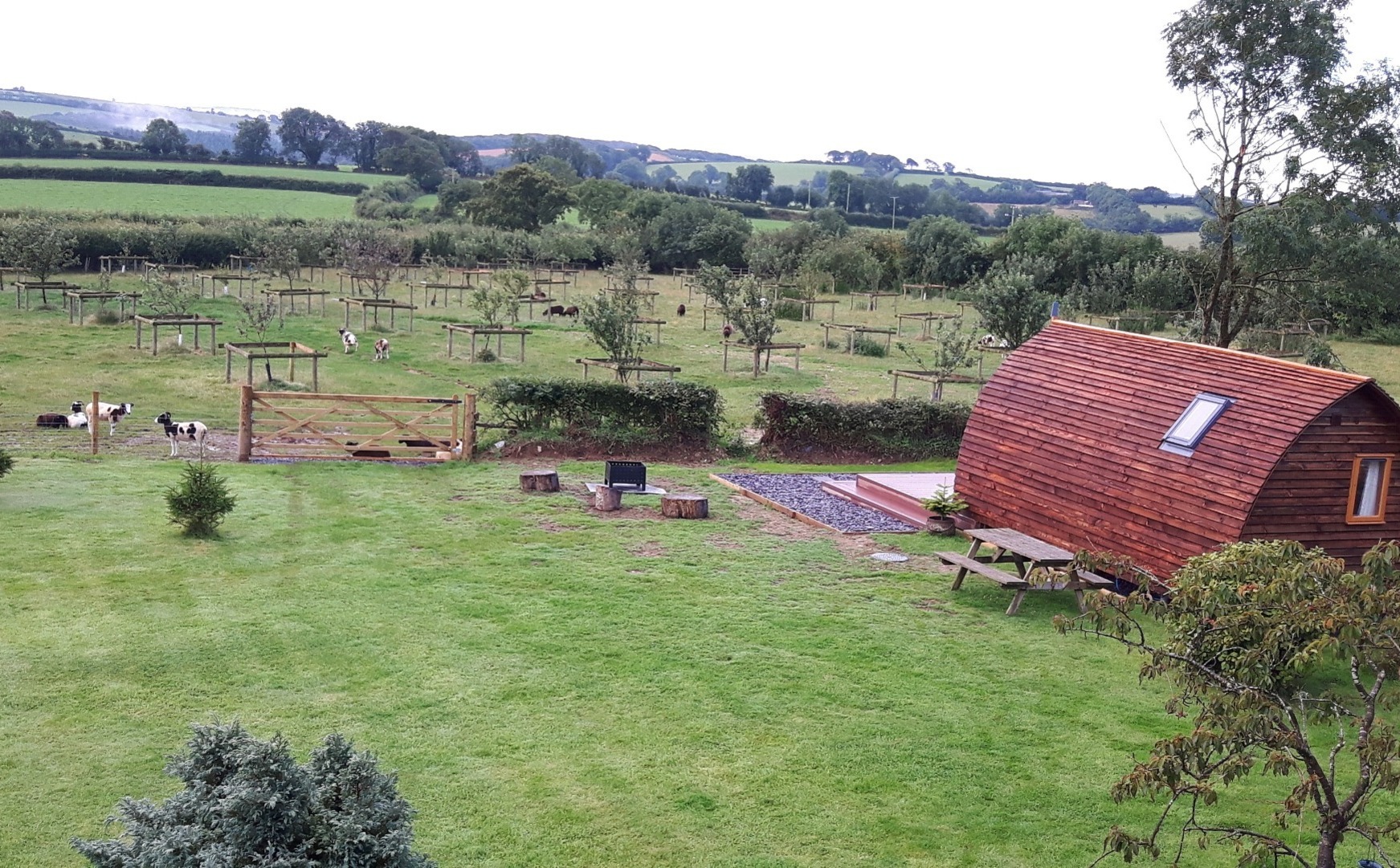 Farmland View from larkworthy Glamping Pods.