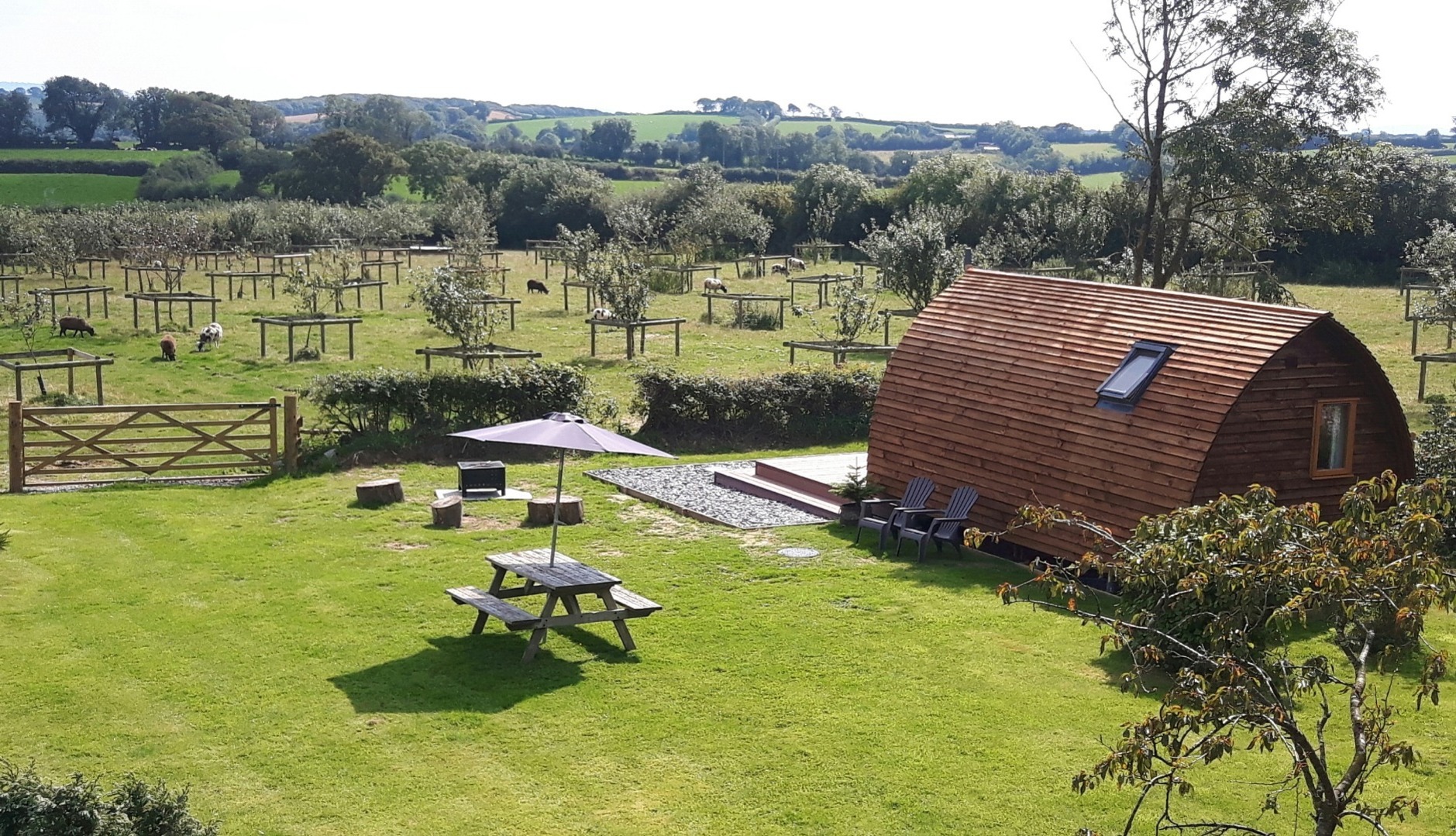 Glamping holiday accommodation and surrounding area