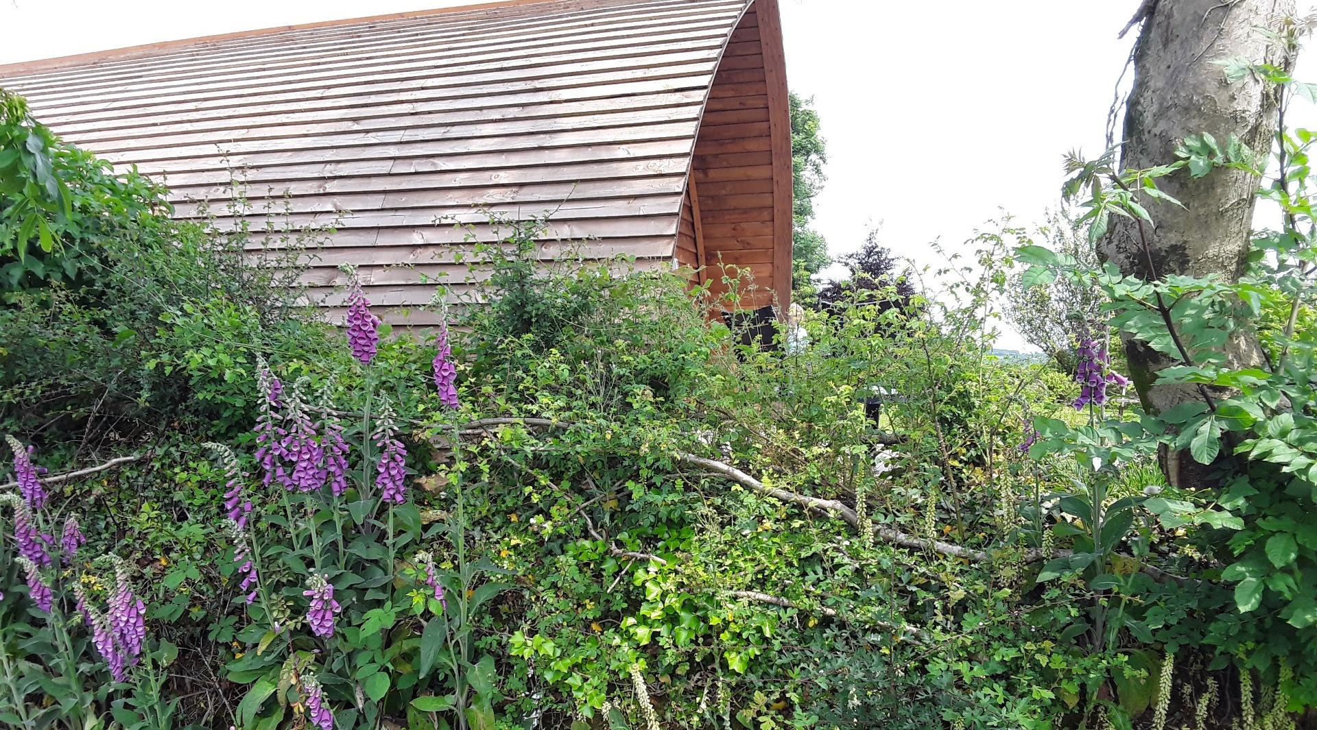 Glamping Cabins in North Devon ideal for Holidays